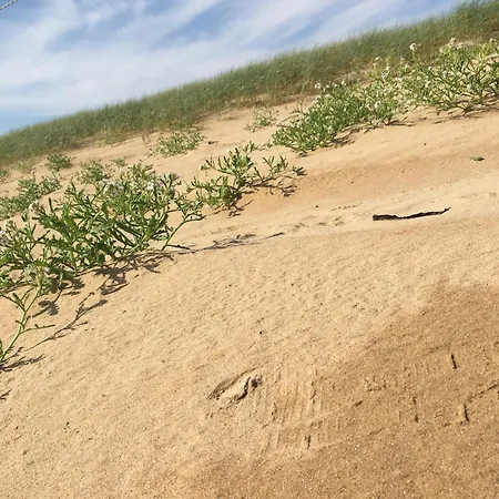 Apartamento - Marina 6