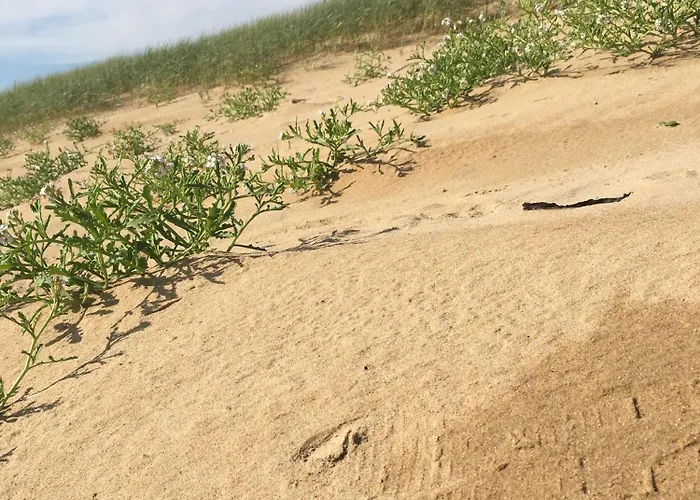 Apartamento - Marina 6